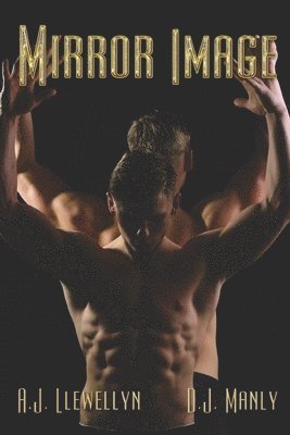 D. J. Manly, A. J. Llewellyn - Mirror Image, Häftad