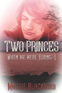 bokomslag Two Princes