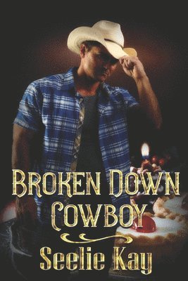 bokomslag Broken Down Cowboy