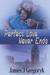 bokomslag Perfect Love Never Ends