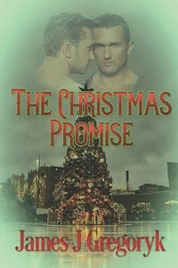 bokomslag The Christmas Promise