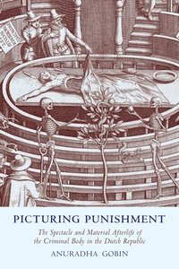 bokomslag Picturing Punishment