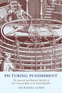 bokomslag Picturing Punishment