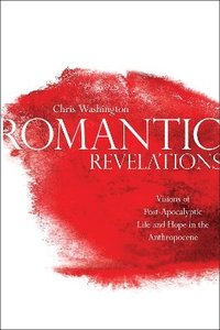bokomslag Romantic Revelations
