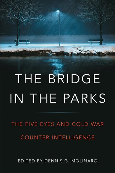 Dennis G. Molinaro - Bridge in the Parks, Inbunden