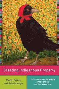 bokomslag Creating Indigenous Property