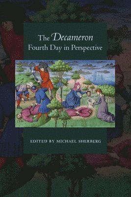 Michael Sherberg - Decameron Fourth Day in Perspective, Inbunden