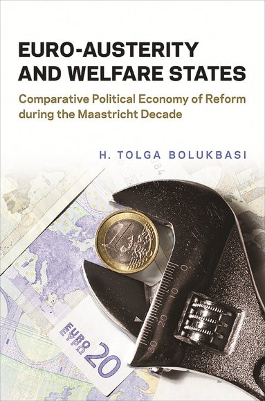 bokomslag Euro-Austerity and Welfare States