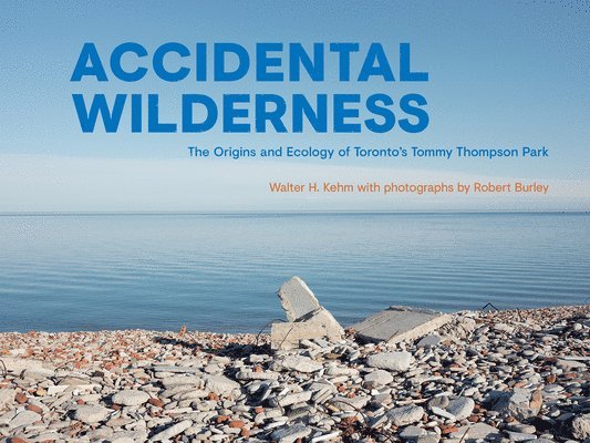 Accidental Wilderness 1