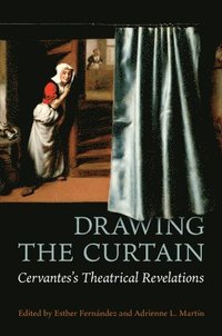 bokomslag Drawing the Curtain