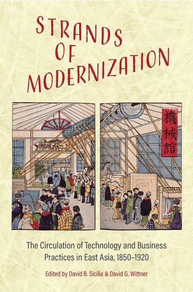 David B. Sicilia, David G. Wittner - Strands of Modernization, Inbunden