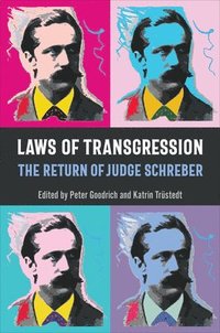 bokomslag Laws of Transgression