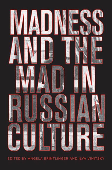 Angela Brintlinger, Ilya Vinitsky - Madness and the Mad in Russian Culture, Häftad