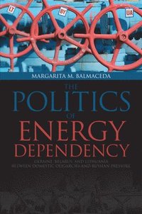 bokomslag Politics of Energy Dependency