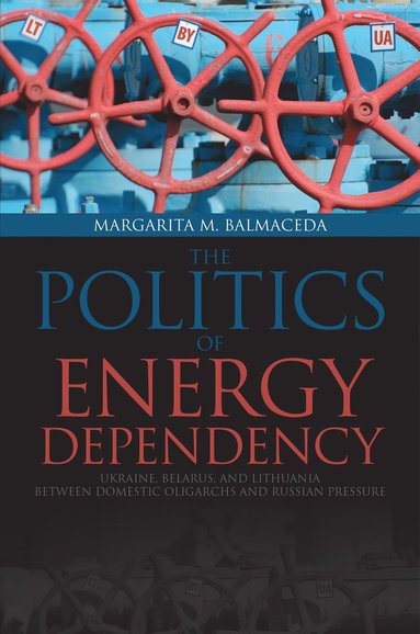 bokomslag Politics of Energy Dependency