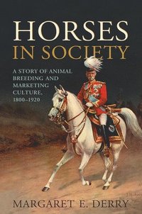 bokomslag Horses in Society