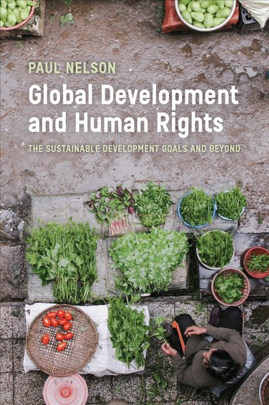 Paul Nelson - Global Development and Human Rights, Häftad