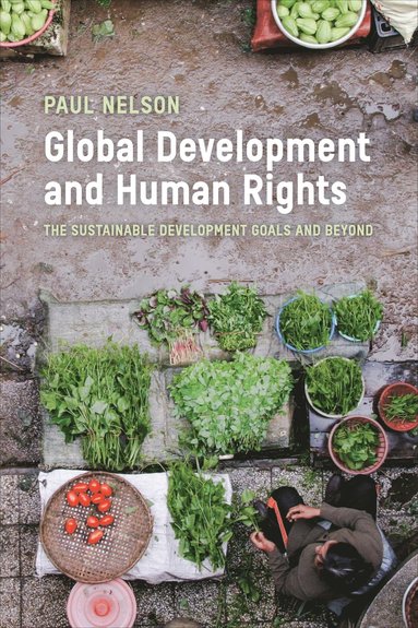 bokomslag Global Development and Human Rights