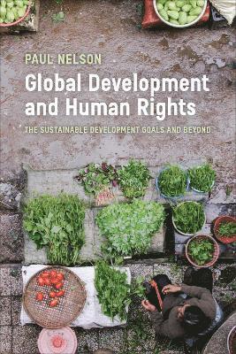 Paul Nelson - Global Development and Human Rights, Häftad