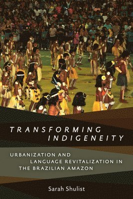 bokomslag Transforming Indigeneity