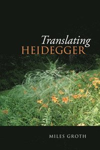 bokomslag Translating Heidegger