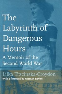 bokomslag Labyrinth of Dangerous Hours