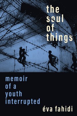 Éva Fahidi, Eva Fahidi, ¿va Fahidi, Judith Szapor - Soul of Things, Häftad