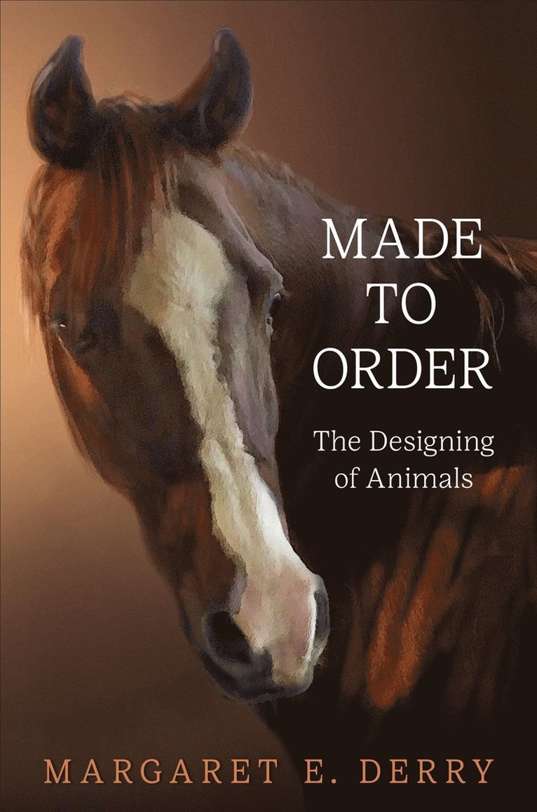 Margaret E. Derry, Margaret E Derry - Made to Order, Inbunden