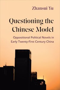 bokomslag Questioning the Chinese Model