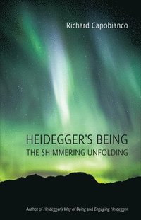 bokomslag Heidegger's Being