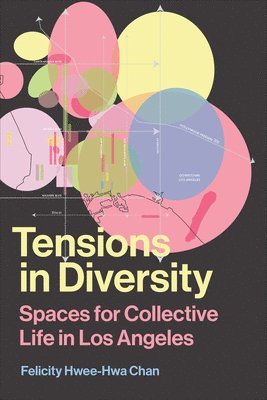 Tensions in Diversity 1