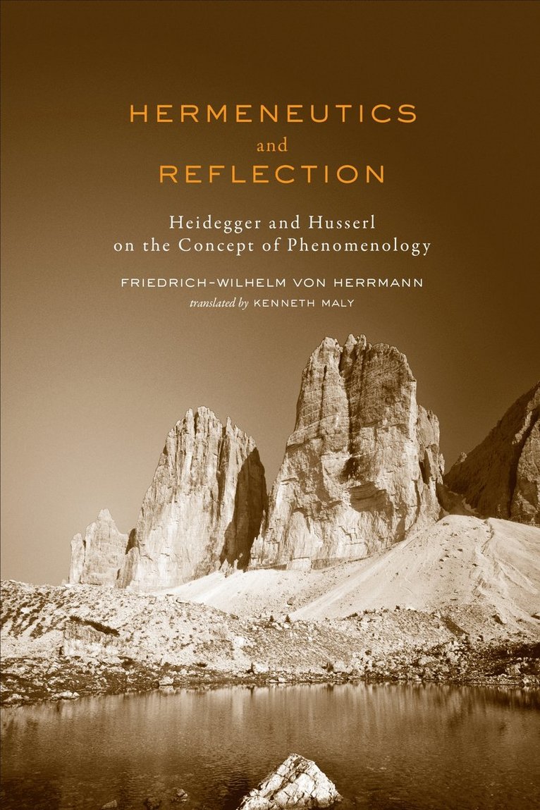 Hermeneutics and Reflection 1