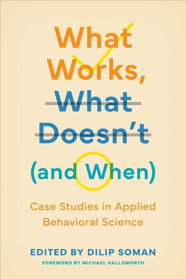 Dilip Soman, Dilip Soman - What Works, What Doesn't (and When), Inbunden