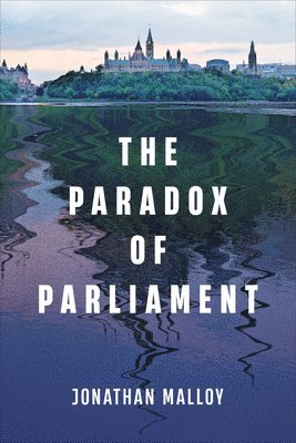 bokomslag Paradox of Parliament