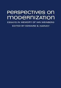 bokomslag Perspectives on Modernization
