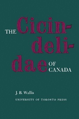 bokomslag Cicindelidae of Canada