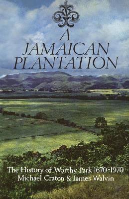 bokomslag A Jamaican Plantation