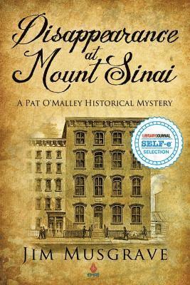 bokomslag Disappearance at Mount Sinai: A Pat O'Malley Historical Mystery