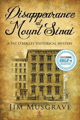 Ellen Bernabei - Disappearance at Mount Sinai: A Pat O'Malley Historical Mystery, Häftad