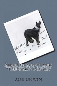 bokomslag Adventures of Meg 'The Wrong Stick': A Clever Border Collie Dogs diary