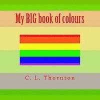 bokomslag My BIG book of colours
