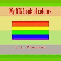 My BIG book of colours 1