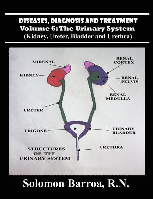 bokomslag Diseases, Diagnosis and Treatment