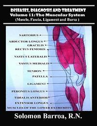 bokomslag Diseases, Diagnosis and Treatment