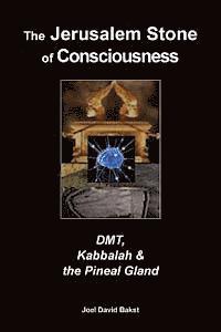 bokomslag The Jerusalem Stone of Consciousness: DMT, Kabbalah and the Pineal Gland