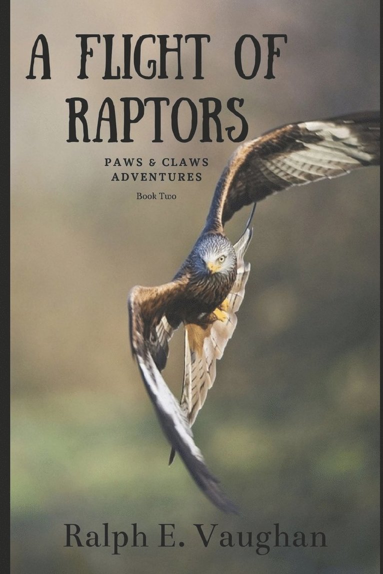 A Flight of Raptors 1