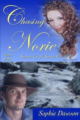 Chasing Norie: Large Print 1