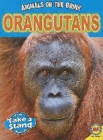 bokomslag Orangutans