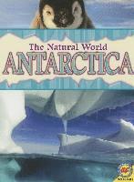 Antarctica 1