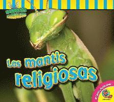 bokomslag Las Mantis Religiosas